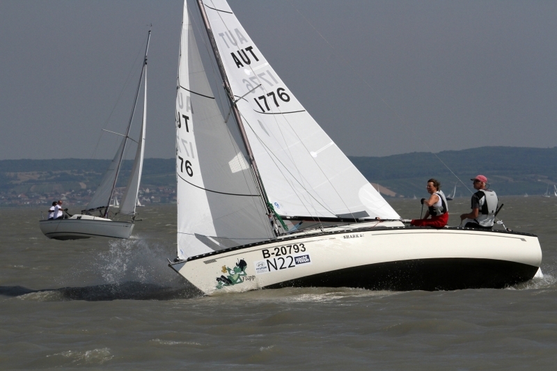 Shark 24 am Neusiedlersee